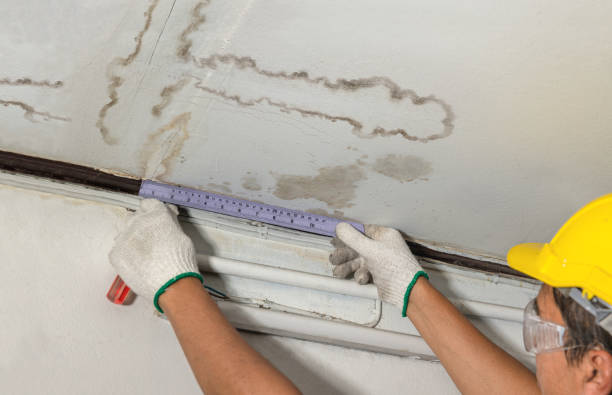 Reliable Water Damage contractor in Belle Valley, OH by Water Damage Irwin